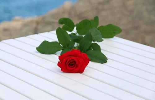 Sensational sea views - Overwhelming sea views - Photo 35