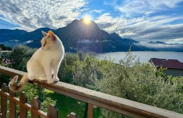 Casa Verenice - Foto 29