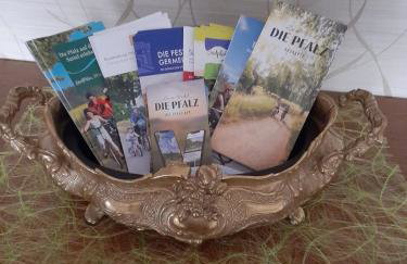 Apartment in beautiful Southern Palatinate! - Photo 11