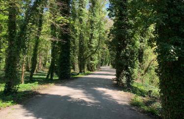 Przy Złotych Piaskach 1 - Foto 72