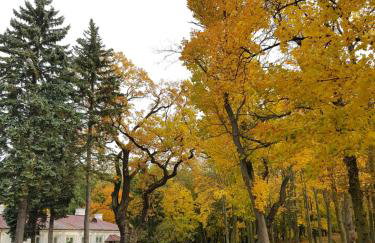 Przystan Zegrze - Foto 10