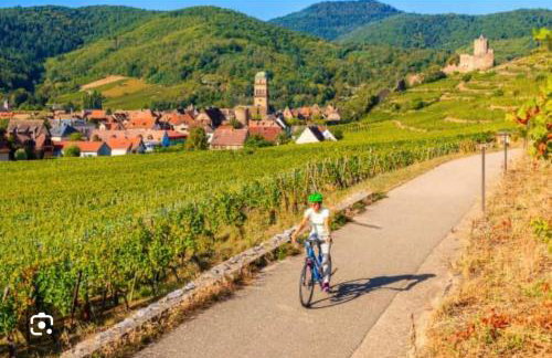 Gîte Bagatelle l'Ecrin du Ried PROCHE EUROPAPARK - Foto 23