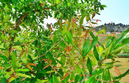 Apartment Nadoveza - Foto 41