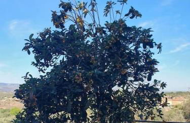 Casa Blanca, Acequias, Lecrin valley, Granada - Foto 13