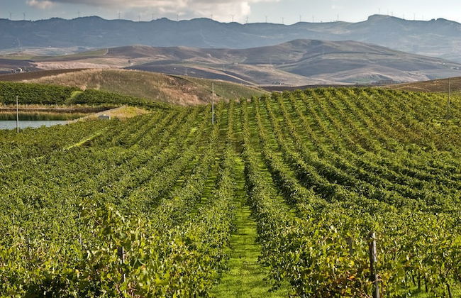 Agriturismo Sirignano Wine Resort - Photo 34