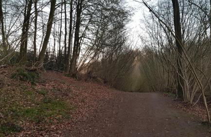 MOIN, MOIN & AHOI! - Foto 48