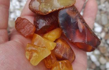 Apartamenty Pod Debem (Ferienwohnungen an der uralten Eiche) - Foto 27