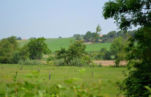 Cottage in Wierre-Effroy near Forest - Foto 17