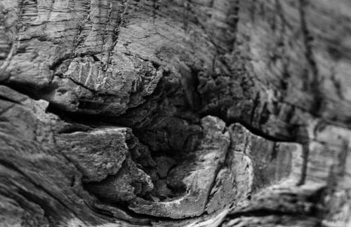 The Cottage on the Square, Wensley - Derbyshire Country Cottage. - Photo 25