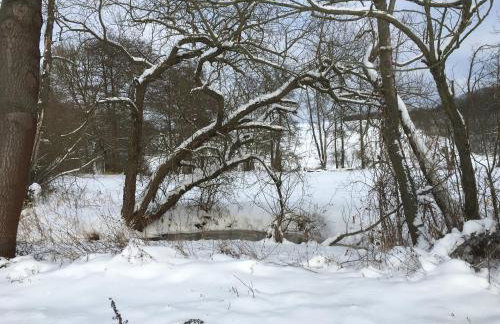 Ferienwohnungen Lausbuben & Zicken - im grünen Herzen Deutschlands - Foto 38