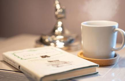 Bronte Apartment - Dales - Lakes - Kirkby Lonsdale - Foto 22