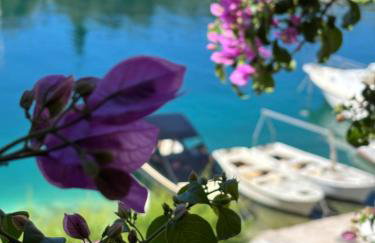 Amare Apartments - Photo 6