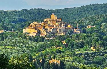 Guest House Manufacto - Foto 39