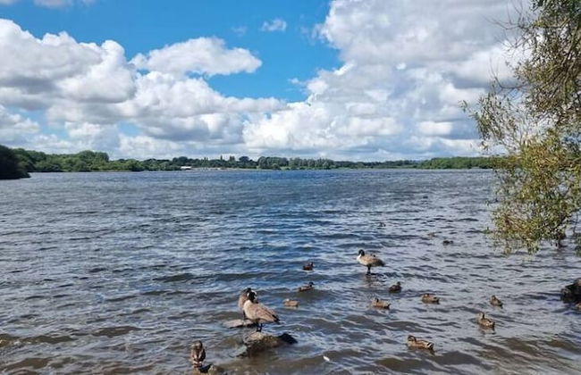 The Pennington Apartment Leigh - Foto 11