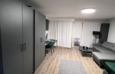 Business Apartment Karlsruhe - Foto 1