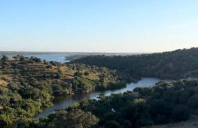 Refúgio da Azinheira - Foto 7