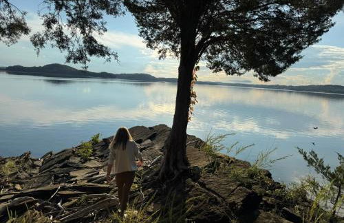 The Overlook on Douglas Lake -Waterfront Luxury - Photo 75