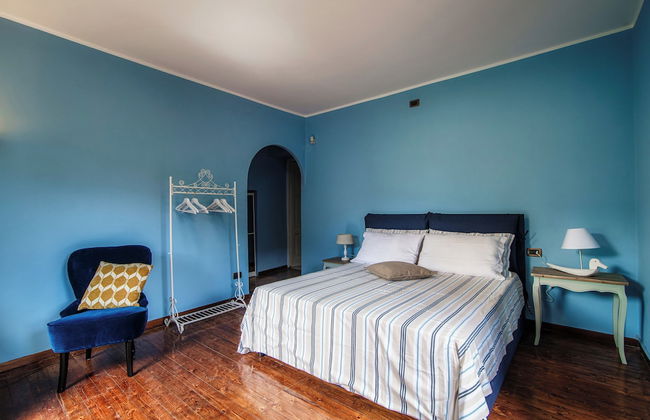 Lemon Tree - Photo 16