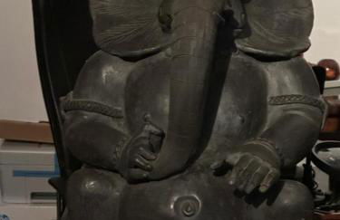 VillaLuigia - Oasi le Palme - Photo 75