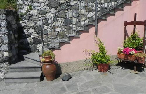 azienda agricola zulin casa elena - Foto 5