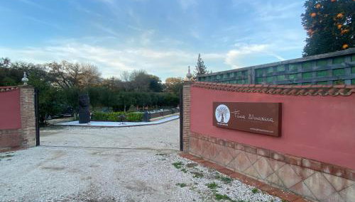 FINCA ALMAZARA - Foto 2