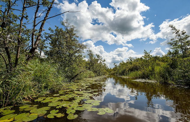 Farmhouse in Suwald With Hot Tub - Foto 40