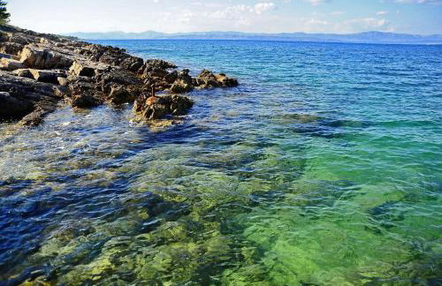 House Villa Marijeta - Foto 28