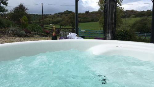 Glan Llyn Farm House - Foto 5