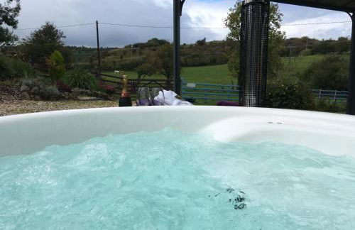 Glan Llyn Farm House - Foto 5