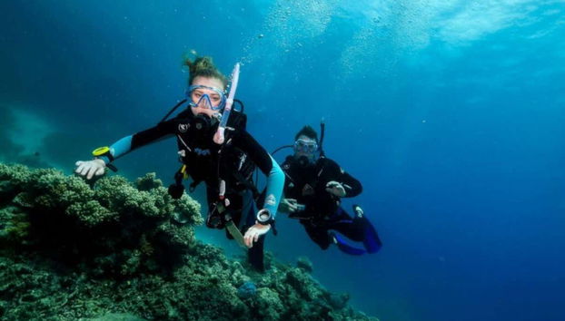 Plongée dans la Grande Barrière de Corail