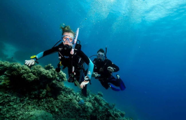 Plongée dans la Grande Barrière de Corail - Photo 4