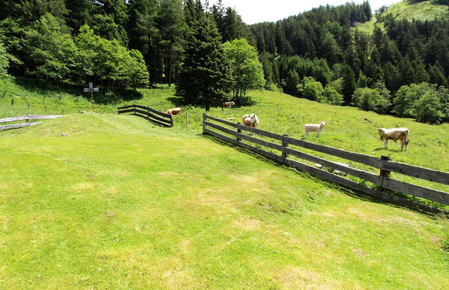 Chalet in Obervellach in Carinthia - Photo 16