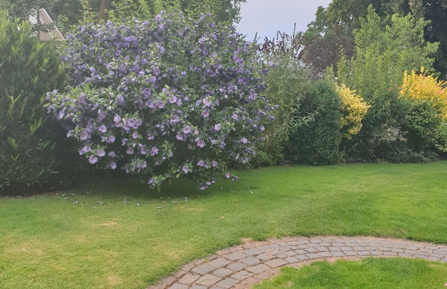 Modernes Ferienhaus mit Garten in Kagsdorf - Foto 20