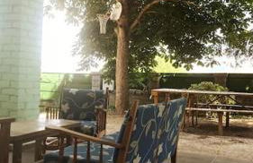 El Pinsapo - Foto 25