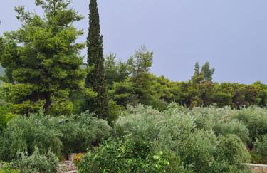 Manto Studios - Photo 37