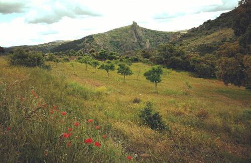 Casa de Pimenteis - Foto 5