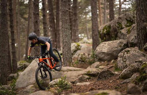 Aisa Casa Simon - Photo 51