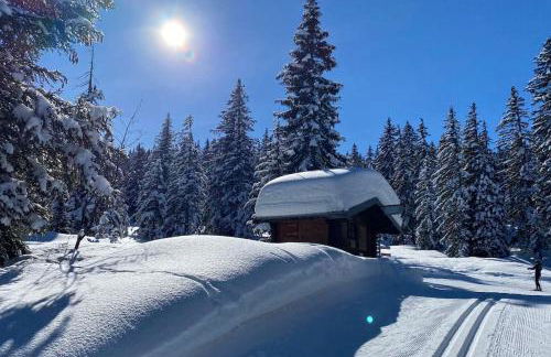 La Perle des Alpes C10 Apart.4* #Yolo Alp Home - Foto 38