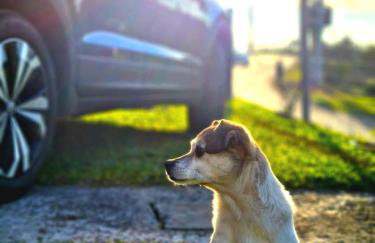 Pousada Bella Vista - no coração do Vale dos Vinhedos - Foto 57