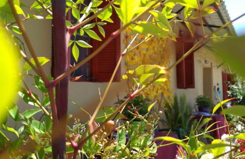 Maison des amis - Foto 30