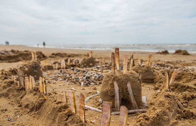 Comfortable Chalet, Dishwasher, Near the Sea in Noordwijk - Foto 35