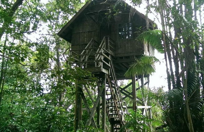 Permai Rainforest Resort - Foto 42