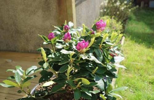 12 Ivy Cottage - Foto 17