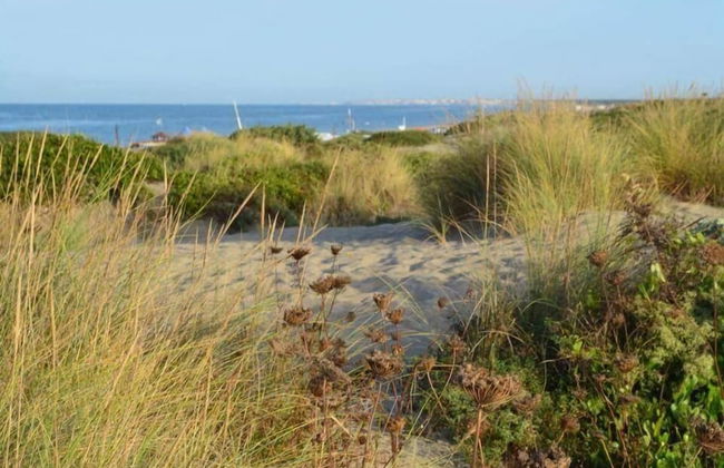 Il Mare di Roma - Photo 46