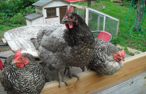 La Maison Imparfaite - Foto 52