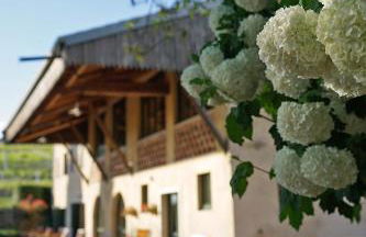 Domus Cariana - Foto 18