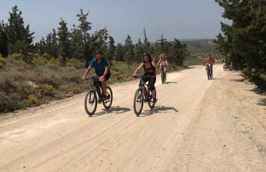 Gregory Luxury Villa by Cretevasion - Foto 72