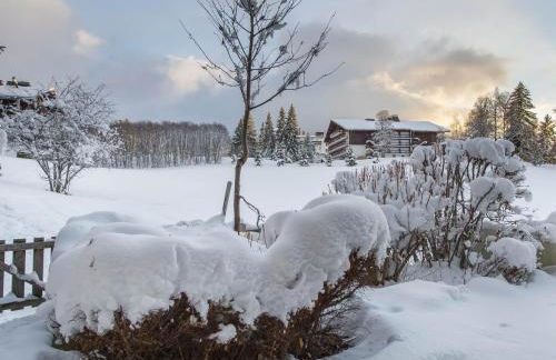 Appartement duplex 2 ch., terrasse, proche pistes à Megève - FR-1-453-26 - Foto 5