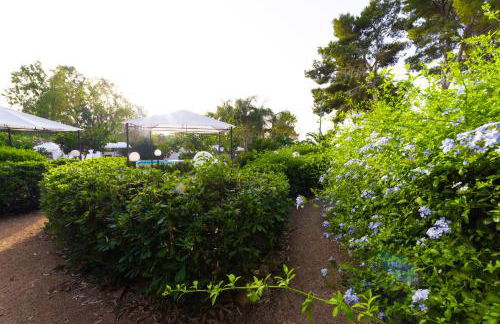 Villa Rosemary - Photo 79