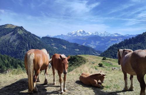 logement entre lac et montagnes - Foto 23